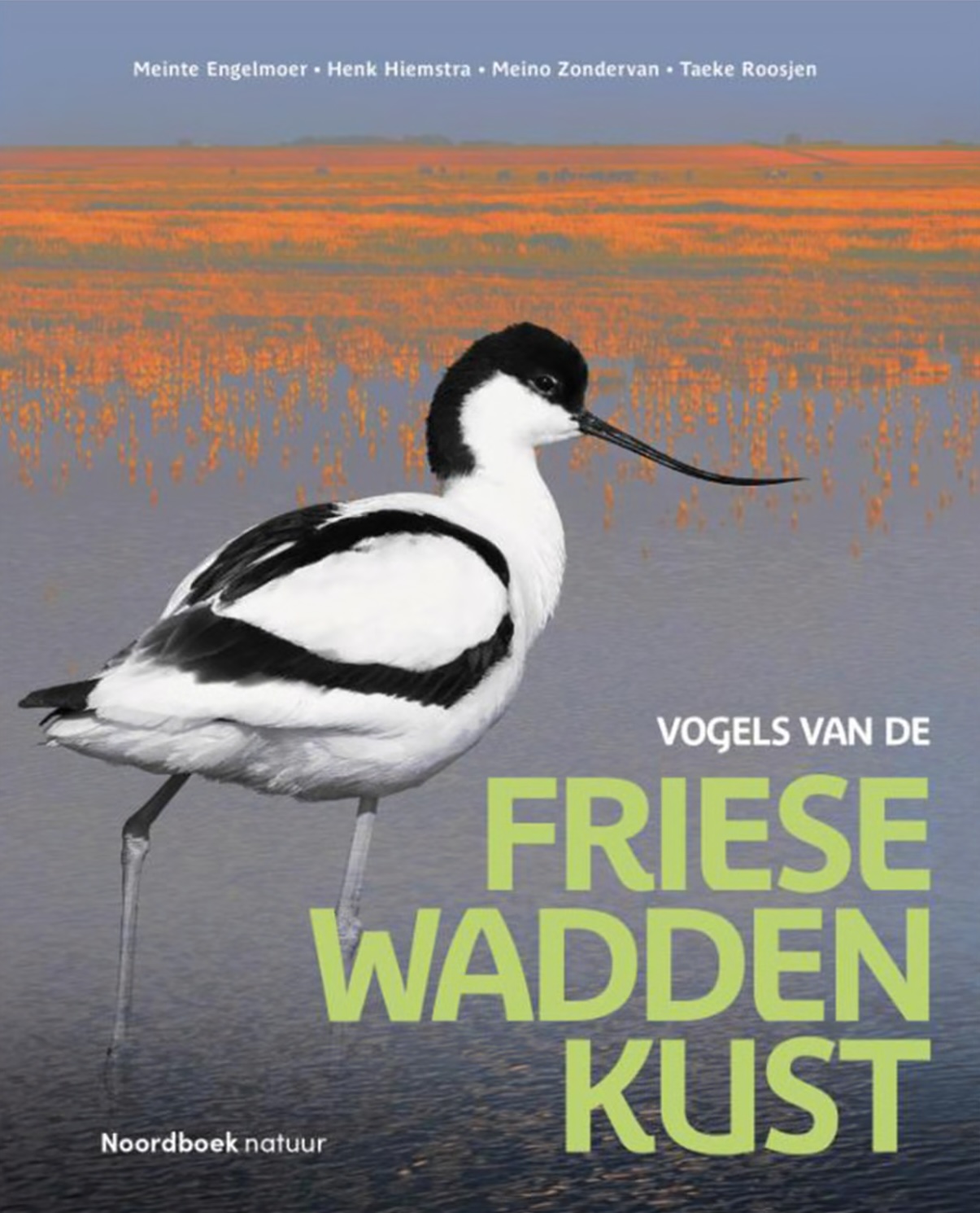 Lezing Vogels van de Friese Waddenkust  door Meinte Engelmoer