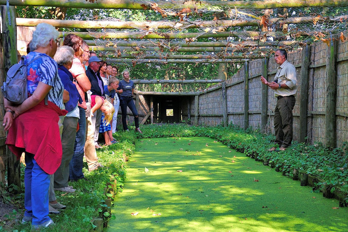 Kijk achter de schermen bij eendenkooi Buimanskoai bij Piaam