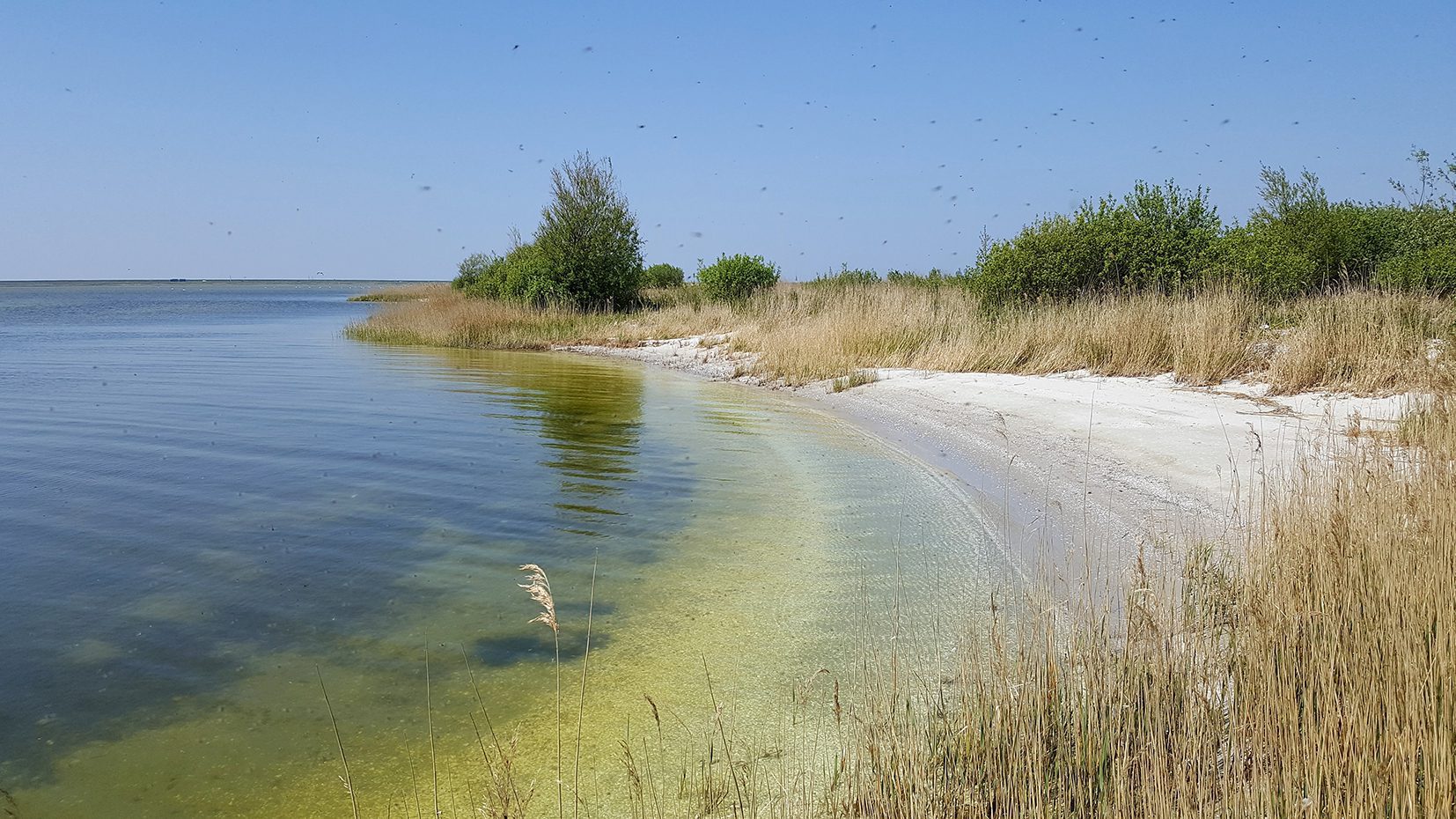 Een eiland in beweging: de veranderende Makkumernoardwaard