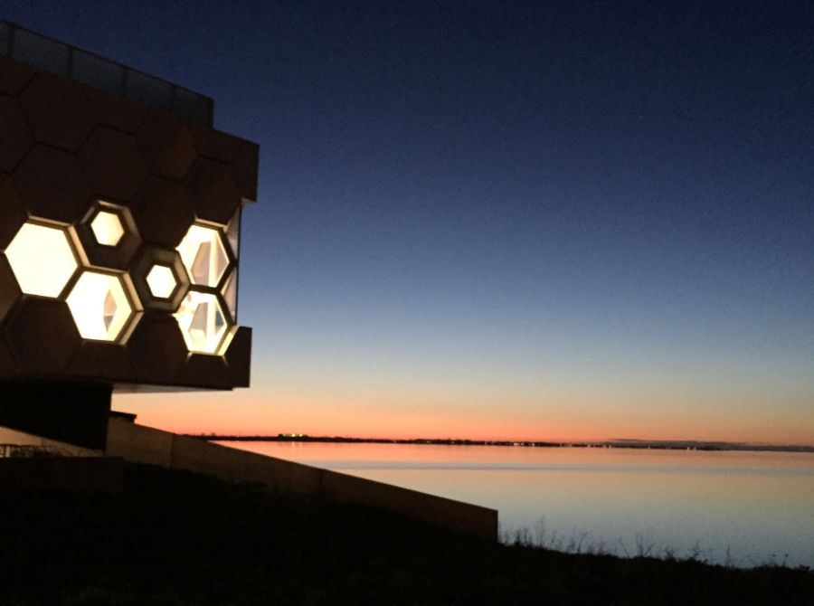 Waddenavond in het AWC: Lepelaar